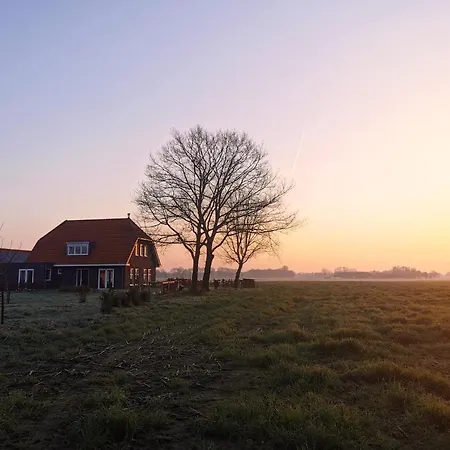 Bed & Breakfast De Vink *